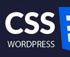 css-theme-wordpress