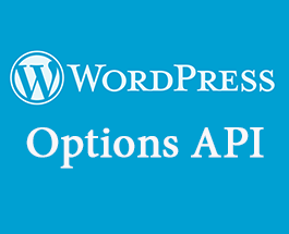 options-api-trong-wordpress